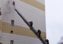 Столичные огнеборцы опровергли мнение "коллеги" о способе спасения людей в Кемерово