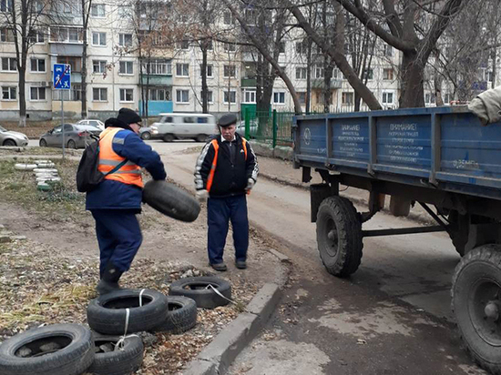 В Ульяновске за месячник по благоустройству уберут 31 свалку 