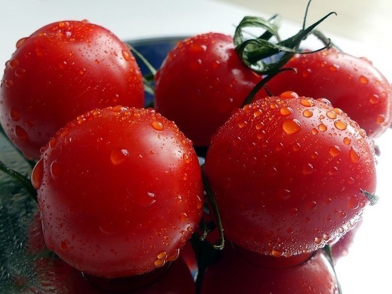 В Карелии раздавили 20 килограммов свежих польских помидоров