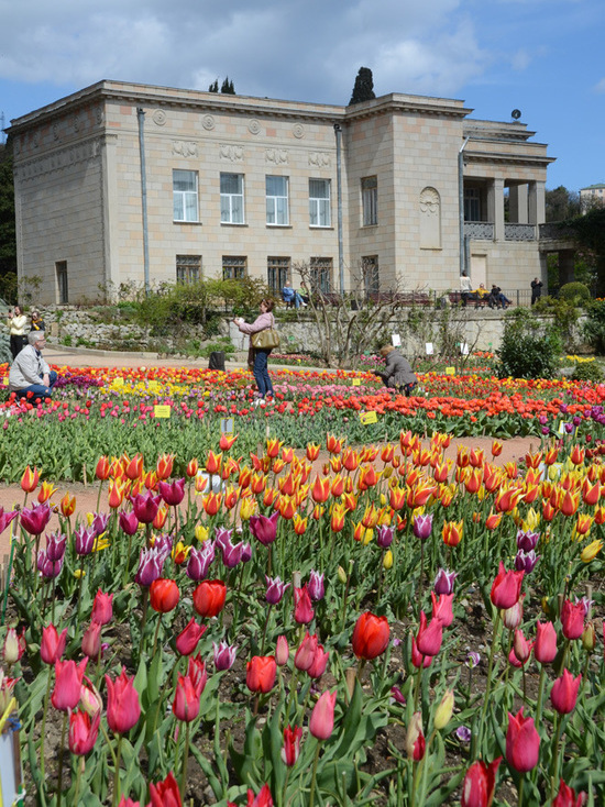 Никитский сад удивит в апреле невероятным Парадом тюльпанов
