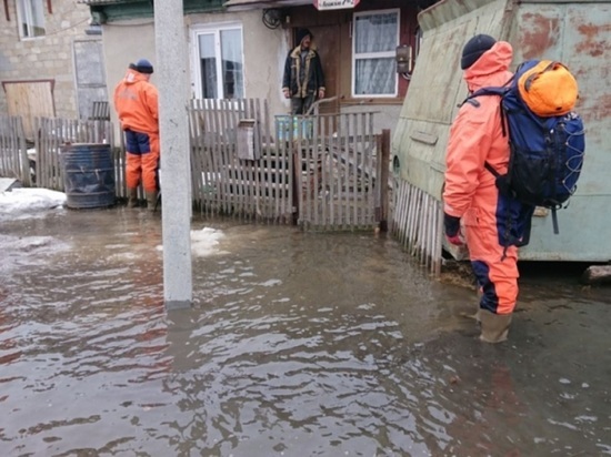 Свердловчане спасли от паводка на Алтае семерых человек и двух собак
