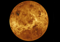 Ученые сообщили, что на Венере может существовать жизнь