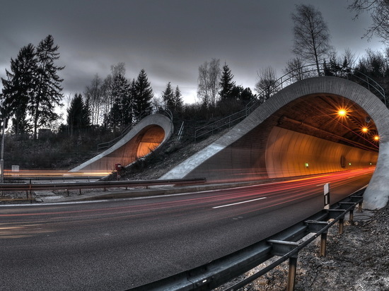 Почти 585 миллионов получила Тверская область на автомобильный тоннель в Чуприяновке