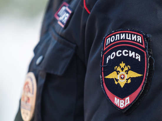 Подразделение туристической полиции появится в Петербурге