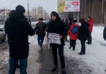 Жители Екатеринбурга рьяно отстаивают березовые насаждения, которые в скором времени подлежат вырубке