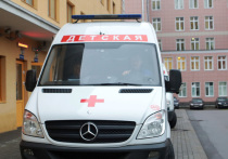 Трехлетняя девочка умерла от вирусно-бактериальной пневмонии в одном из поселков Одинцовского района Московской области