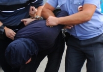 По версии следствия, Дмитрий Пугац напал на правоохранителей