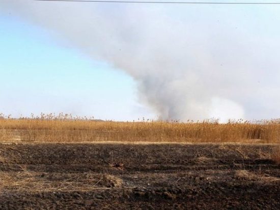 Губернатор Астраханской области: "Уменьшить число природных пожаров вдвое"