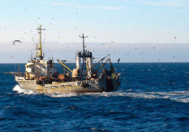 В Росрыболовстве создали оперативную группу по противодействию украинскому пиратству на Азовском море