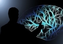 Специалисты из Университета Пенсильвании обнаружили, что готовность того или иного человека идти на финансовые риски зависит от строения его мозга
