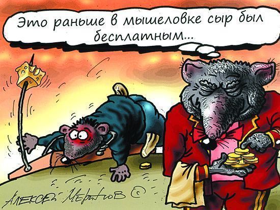 В Вологодской области выросло количество случаев дистанционного мошенничества