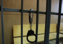 Накануне православной Пасхи Чертановский суд Москвы арестовал мать