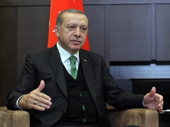 Президент Турции не стал говорить своему коллеге, где видел Украину с ее проблемами, считают эксперты
