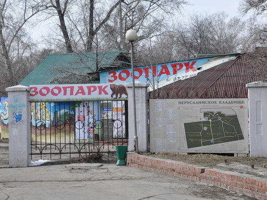 Иркутская зоогалерея пытается выстоять под судебным давлением Иркутская зоогалерея пытается выстоять под судебным давлением