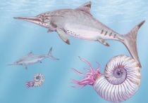 Палеонтологи изучили фрагмент челюсти ихтиозавра, по размерам сопоставимой с синими китами