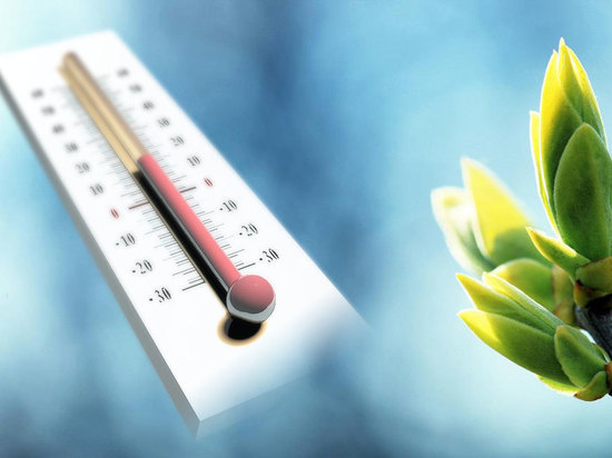 В Оренбуржье в ближайшие сутки потеплеет до +17°C