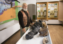 В Ульяновской области построят новый палеонтологический музей