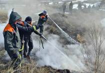 Первый лесной пожар, произошедший 6 апреля на территории Кяхтинского лесничества, символичен тем, что случился он по вине человека