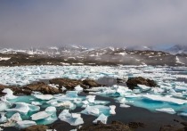 Изучив снимки, сделанные дронами, ученые пришли к выводу, что темная зона в гренландских льдах становится все больше и темнее