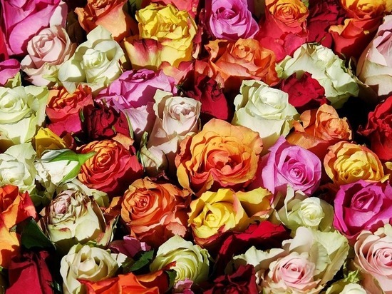 Романтичный белгородец украл букет роз