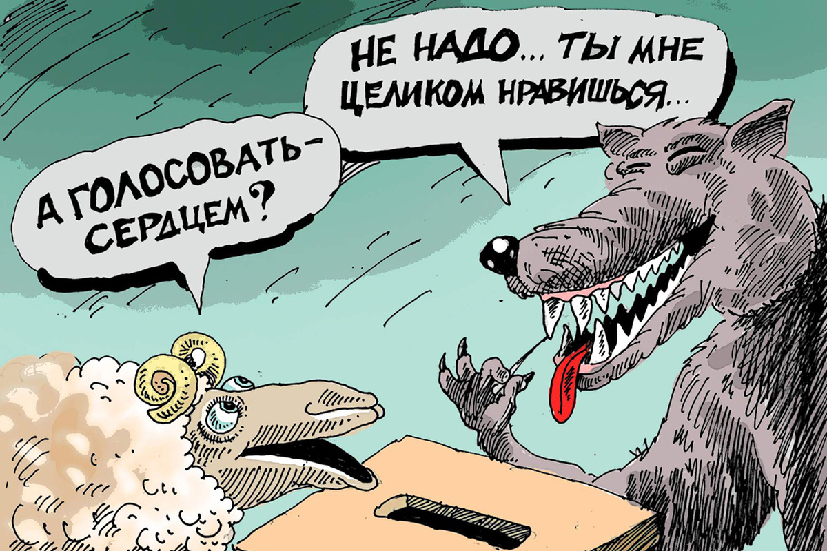 Эксперты: «В волчьей стае подрастают новые волчата, более крепкие и  зубастые» - МК Улан-Удэ