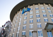 В четверг, 12 апреля, были обнародованы выводы Организации по запрещению химического оружия о расследовании инцидента в Солсбери, где были отравлены Сергей и Юлия Скрипали