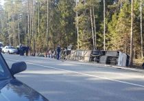 Четверо детей и двое взрослых пострадали, еще один человек погиб сегодня днем при столкновении автобуса с легковым автомобилем в Пушкинском районе Московской области