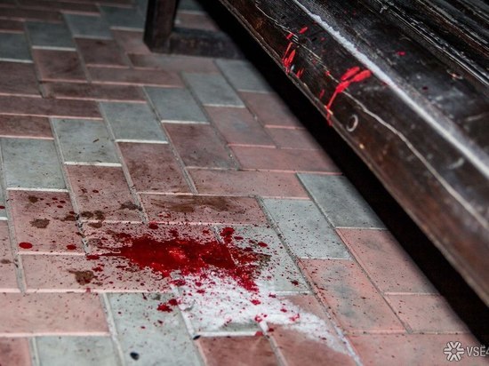 Житель Кузбасса изнасиловал мать и погиб от рук сестры 