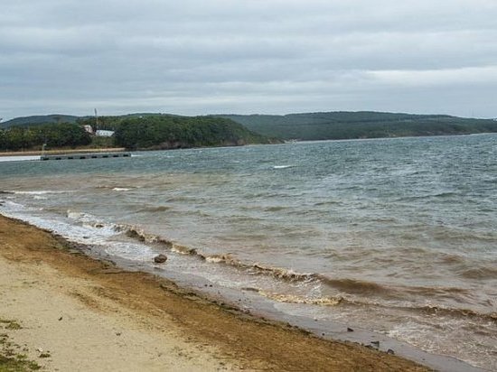 Пляжи Русского острова хотят отдать жителям Владивостока