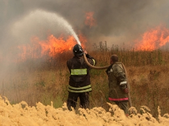 Под Тверью сельские жители борются с масштабным пожаром
