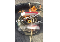 Школьницы из города Тара Омской области перехватили эстафету самых сложных подростков страны, поглумившись над Вечным огнем