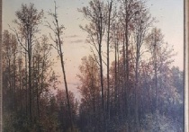 Почти 100 лет потребовалось сотрудникам Серпуховского историко-художественного музея, чтобы выяснить, что на картине Ивана Шишкина «Лес весной», которая занимает почетное место во всей экспозиции, в действительности изображено другое время года — осень