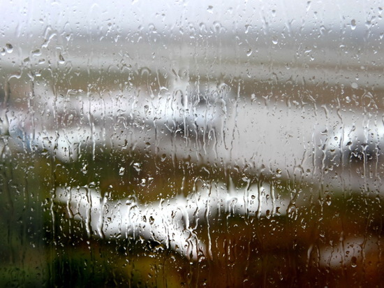 Небольшой дождь ожидается в Мордовии 18 апреля