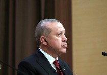 Эксперты прокомментировали решение турецкого лидера объявить досрочные выборы


