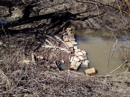 Факты сброса в реку под Тулой медицинских отходов просочились в Сеть 
