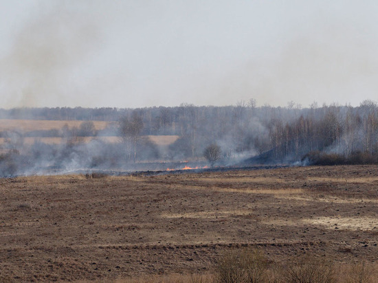 В Тульской области начался пожароопасный период 