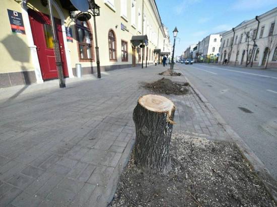 В Казани на главной улице спилили около сотни деревьев 