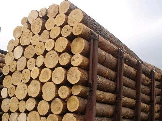 Три уголовных дела заведено в Иркутской области по фактам нарушения закона при торговле лесом на экспорт