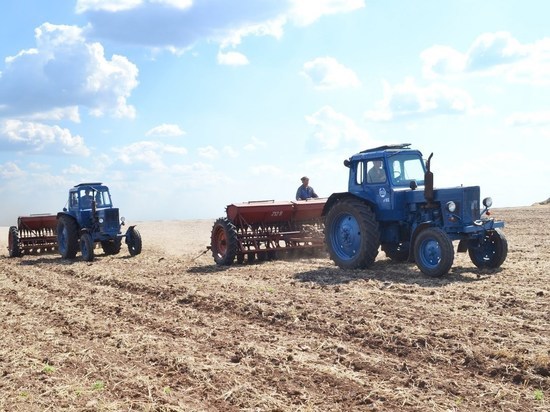 Костромским аграриям дали льготные кредиты на посевную