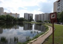 Установить ограждение возле пруда в проезде Дежнева требуют родители ребят, посещающих расположенную неподалеку детскую музыкальную хоровую школу «Весна» им