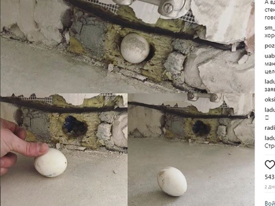 «Приходится терпеть или съезжать»: екатеринбурженка нашла яйцо в стене дома «Синары»