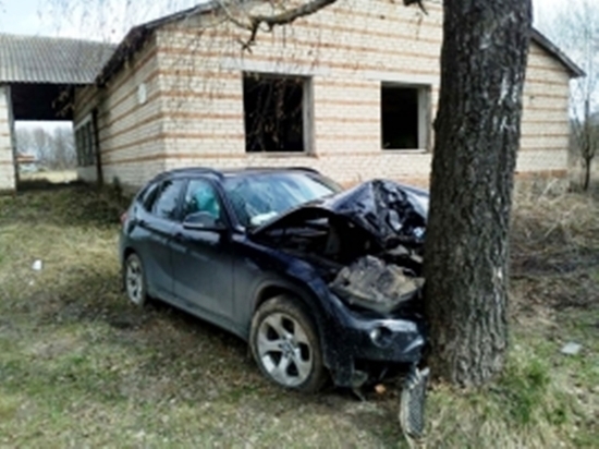 "Черный бумер" врезался в дерево в Калужской области 