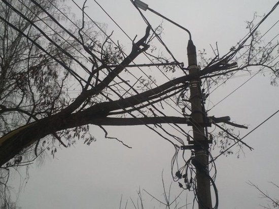 13 районов Тверской области после урагана остаются без электричества