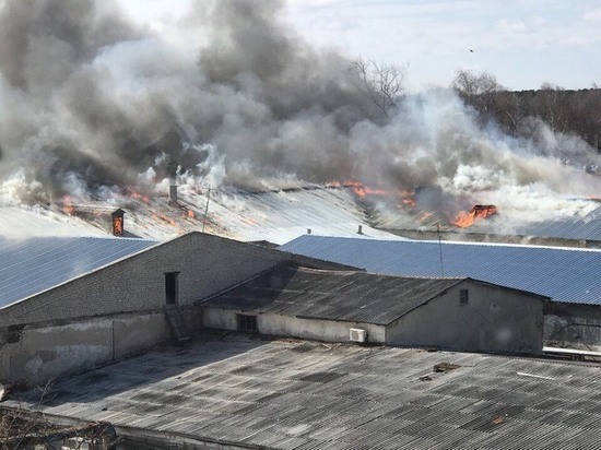Площадь пожара на Богородском кожевенном заводе составила 1000 квадратных метров 