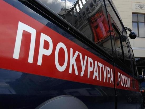 В Ульяновске два депутата лишились мандатов за сокрытие доходов 