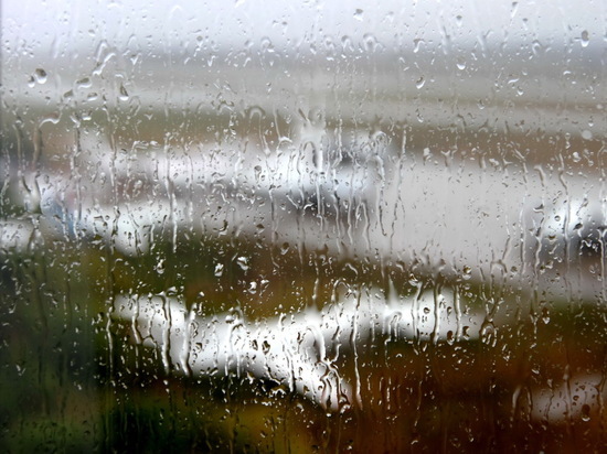 Небольшой дождь ожидается в Мордовии 25 апреля