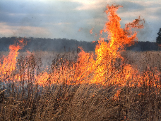 В Ульяновской области за сутки зафиксировано 21 возгорание травы 