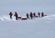 Неделя на лыжах к Северному полюсу: учителями спецкорра «МК» стали руководитель Большой Арктической экспедиции Матвей Шпаро, его помощник Алексей Сейкин, а главное - семеро московских школьников
