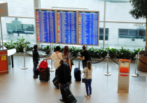 Депутаты Московской областной думы решили позаботиться о комфорте пассажиров аэропортов