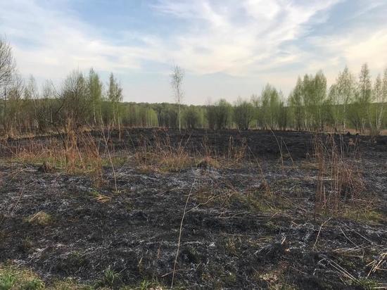 Пожар в поле около Ясной Поляны потушен за 15 минут